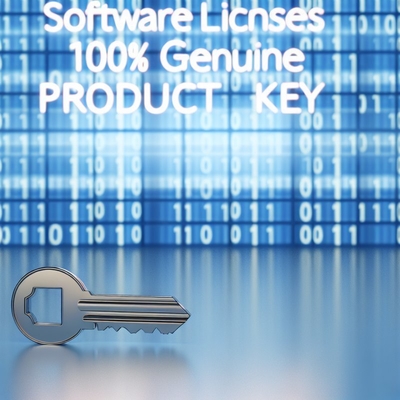 Software Licenses 100% Genuine Product Key for Your Company's Software Needs