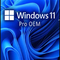 Operating System Windows 11 Professional License Key Oem 1 User Activation