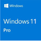 Pure Lifespan Windows 11 Pro Serial Key , RAM Windows 11 Education Activation Key