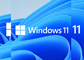 Microsoft Windows 11 Professional Activation Key