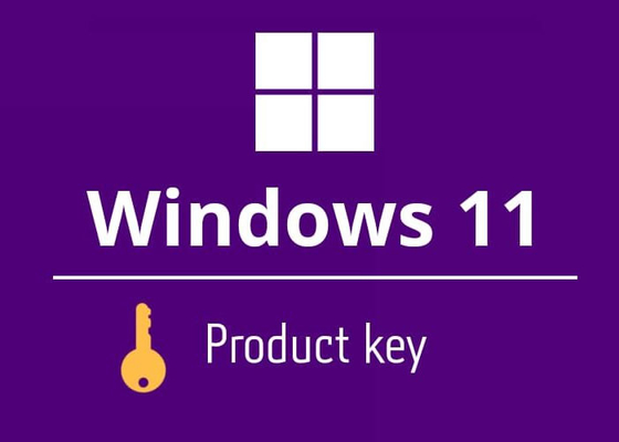 Entrega casera del correo electrónico de la llave del producto de Microsoft Windows 11 de la lengua de Muliti