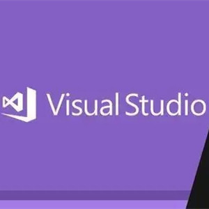 Producto 100% del código de la empresa de la activación de la llave de la activación del Visual Studio de 20 GB 2019