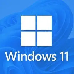 Global código de producto en línea de la activación de la favorable llave de la licencia de Mak Windows 11
