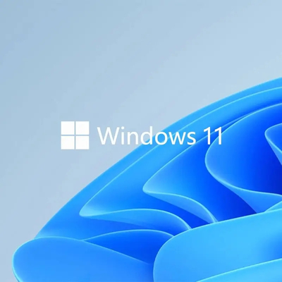 Internet Scdkey de la llave del producto del GB Microsoft Windows 11 del curso de la vida 64
