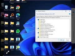Llave profesional de Windows 11