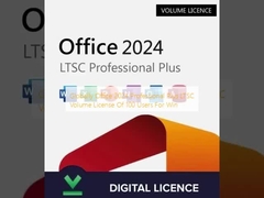 Licencia por volumen de Office 2024 Professional Plus LTSC para 100 usuarios para Windows a nivel mundial